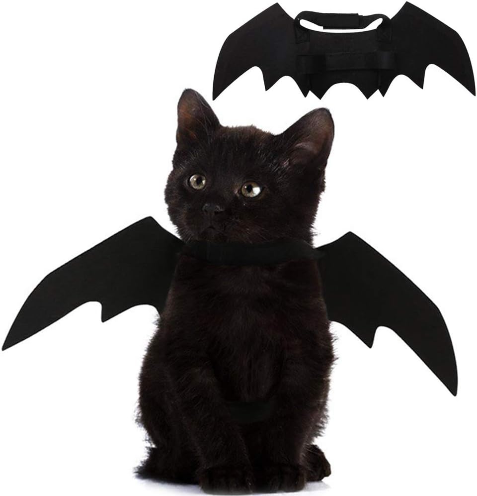 Cat Bat Wings Halloween Costume Pet Outfit