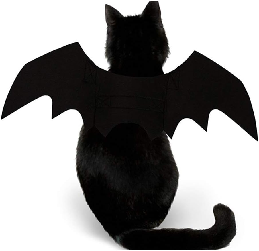 Cat Bat Wings Halloween Costume Pet Outfit