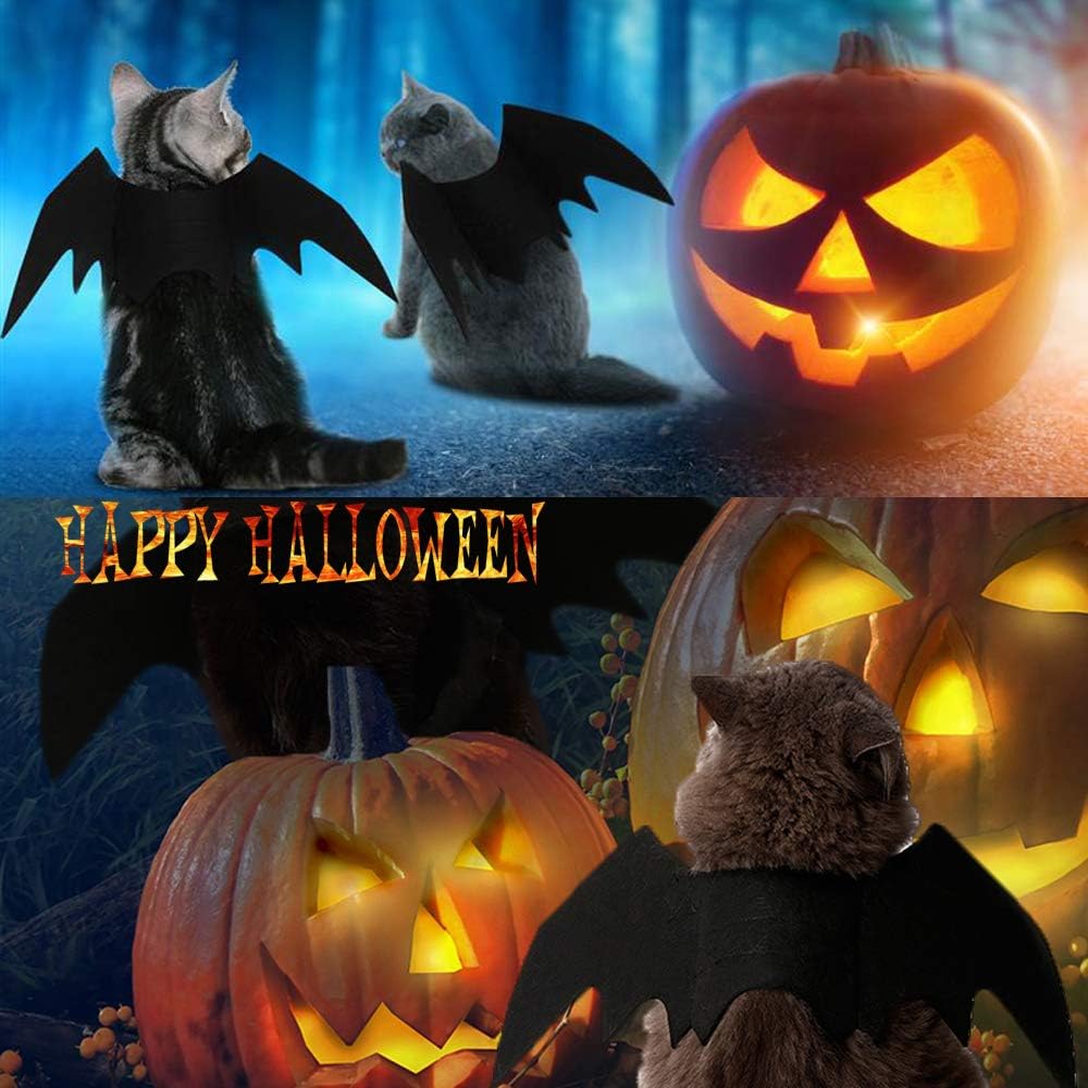 Cat Bat Wings Halloween Costume Pet Outfit
