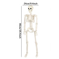 Movable Halloween Skeleton Fake Skull Display