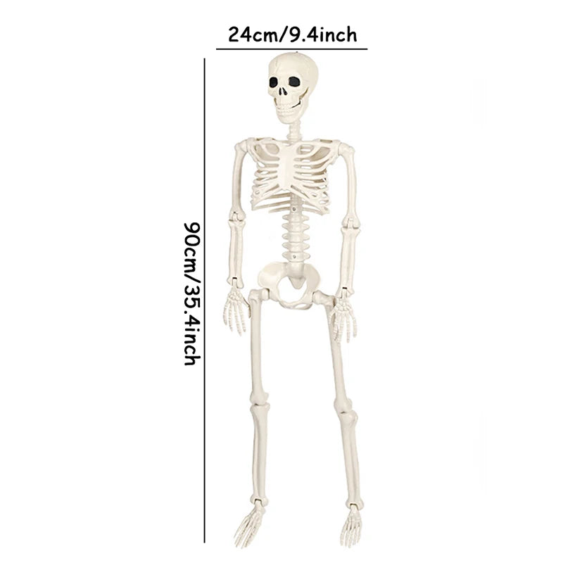 Movable Halloween Skeleton Fake Skull Display