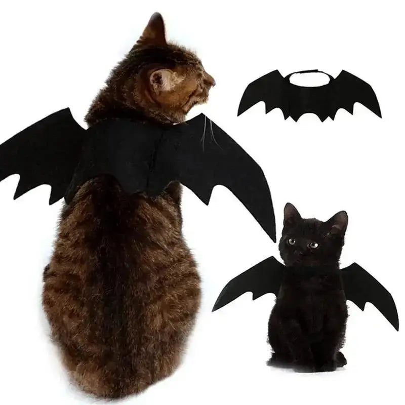 Wholesale Cute Cat Cosplay Costume Black Bat Wings