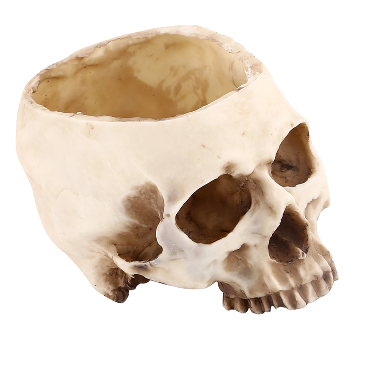 Resin Skull Head Design Flower Pot Planter Container Decoration Skull Pot