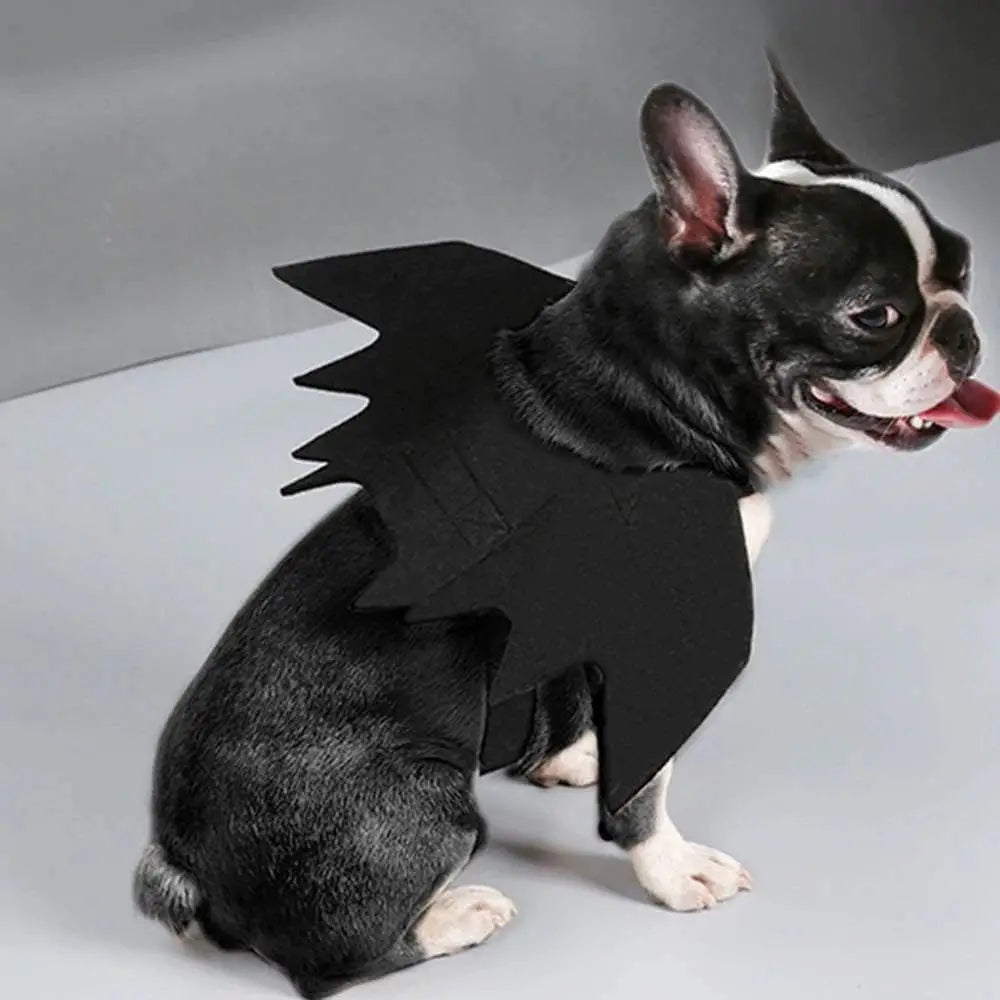 Wholesale Cute Cat Cosplay Costume Black Bat Wings