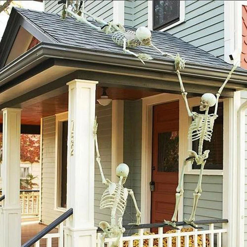 Movable Halloween Skeleton Fake Skull Display