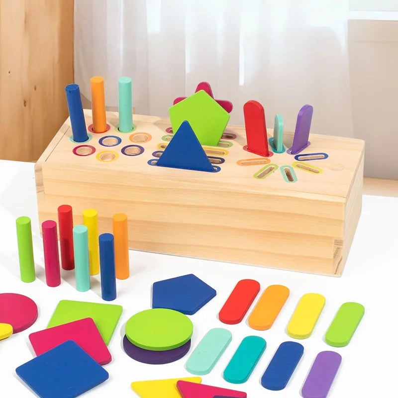3D Shapes Geometric Solids Wooden Color Toy Sorting Toy Developmental Training