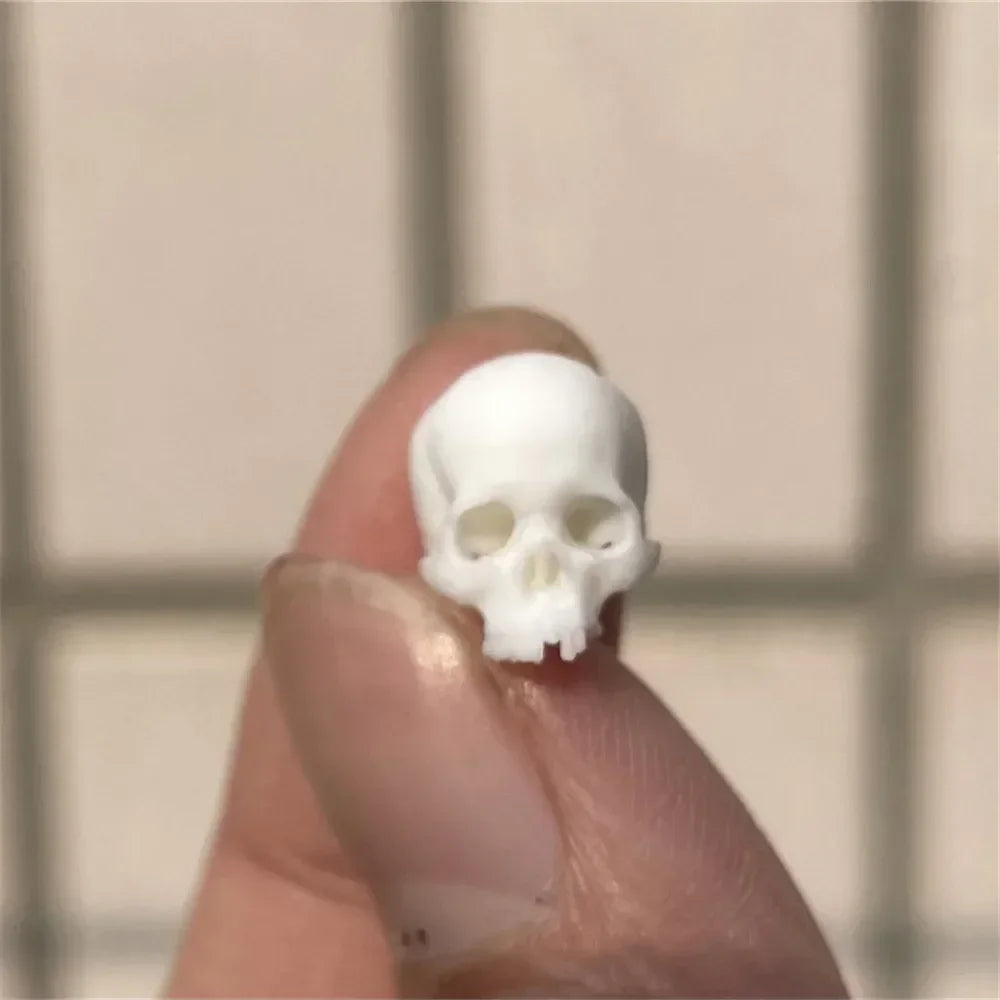 High-quality Mini Skull Model Halloween Home Decoration Dollhouse Plant Fish Tank