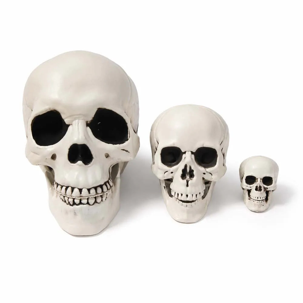 Festive Halloween Skull Decoration Realistic