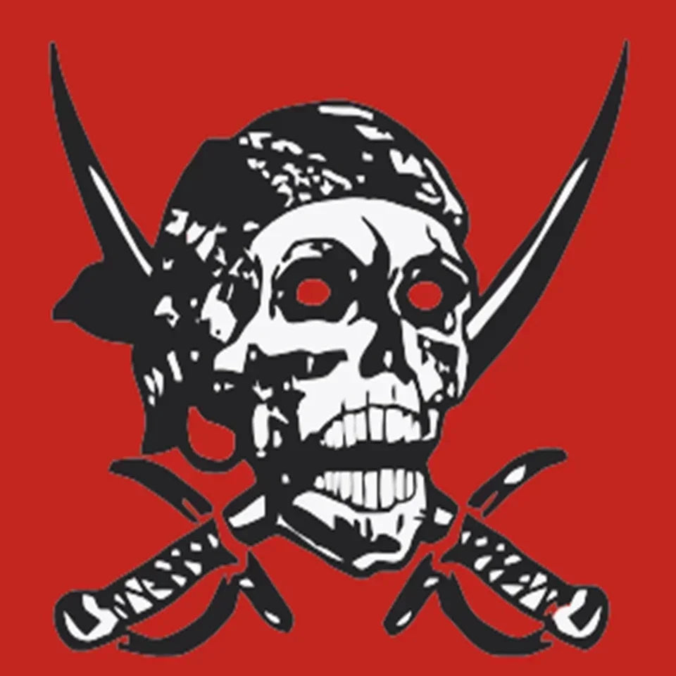 Red Skull Pirate Flag 90x150cm Jolly Roger Polyester Banner Halloween Decor