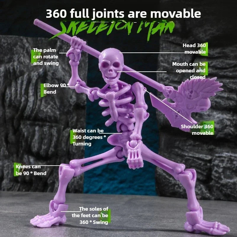 Educational Three Dimensional Skull Model Assembly