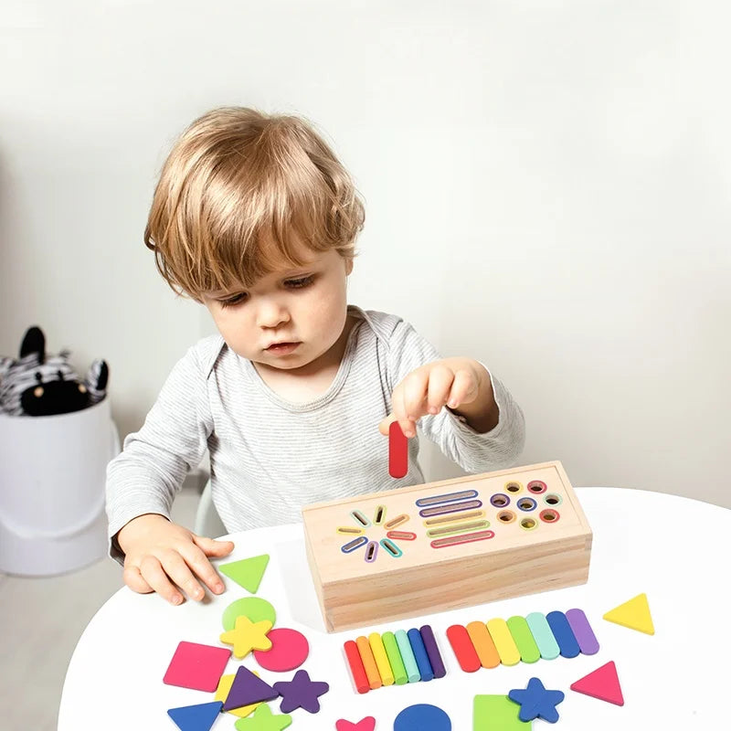 3D Shapes Geometric Solids Wooden Color Toy Sorting Toy Developmental Training