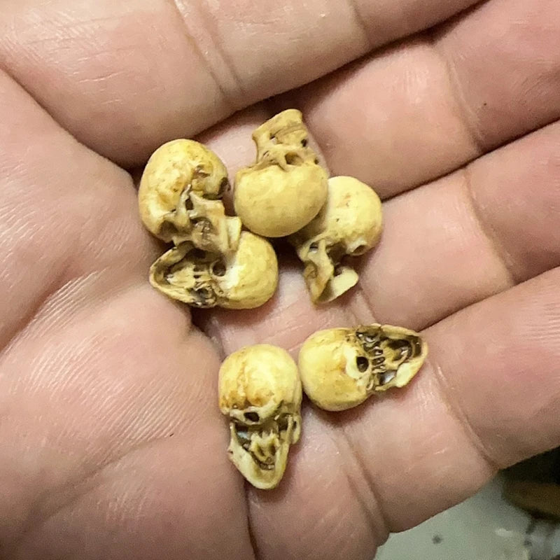 High-quality Mini Skull Model Halloween Home Decoration Dollhouse Plant Fish Tank