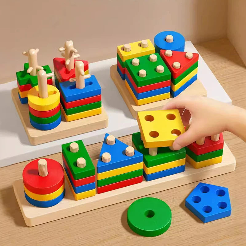 Montessori Wooden Building Blocks Color