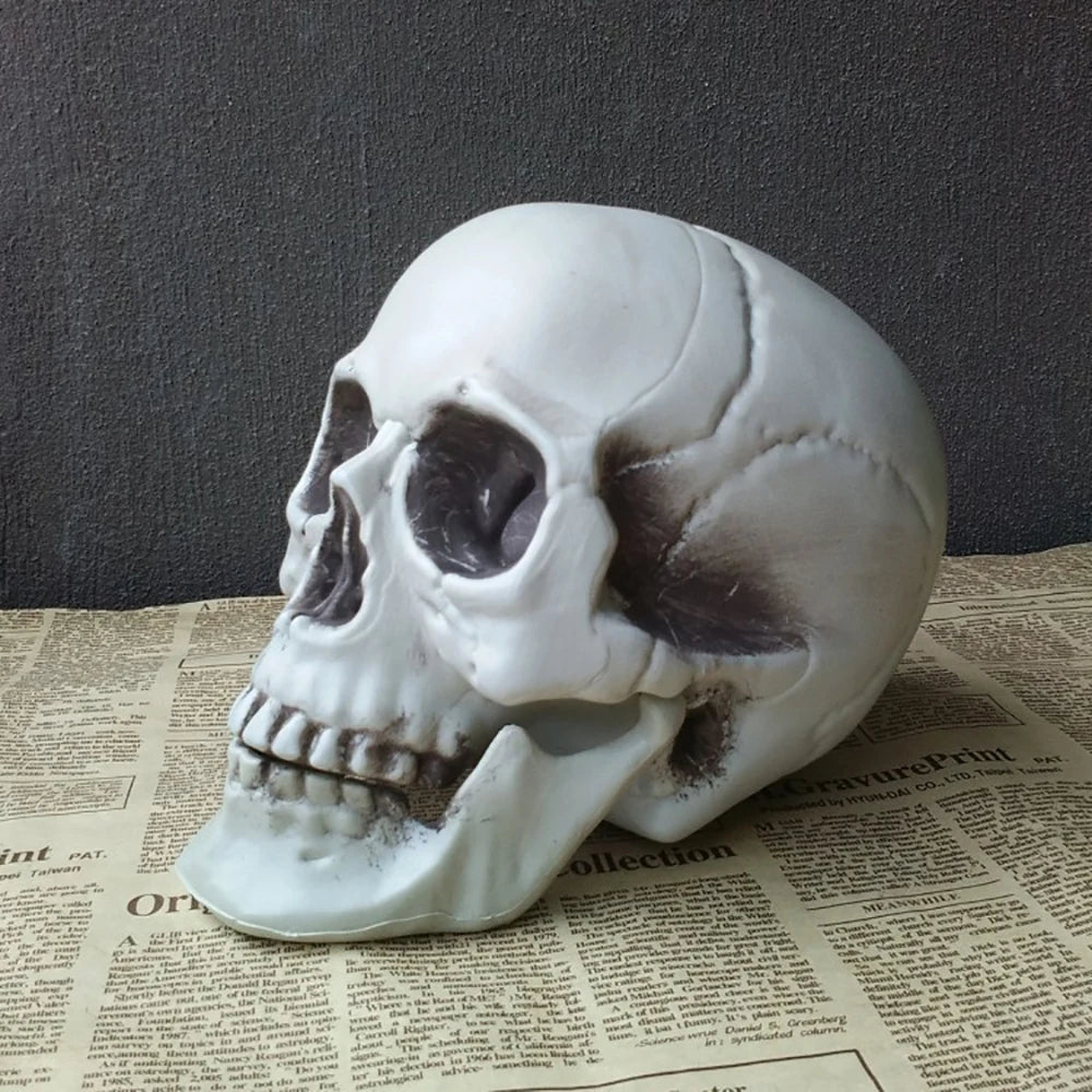 Festive Halloween Skull Decoration Realistic