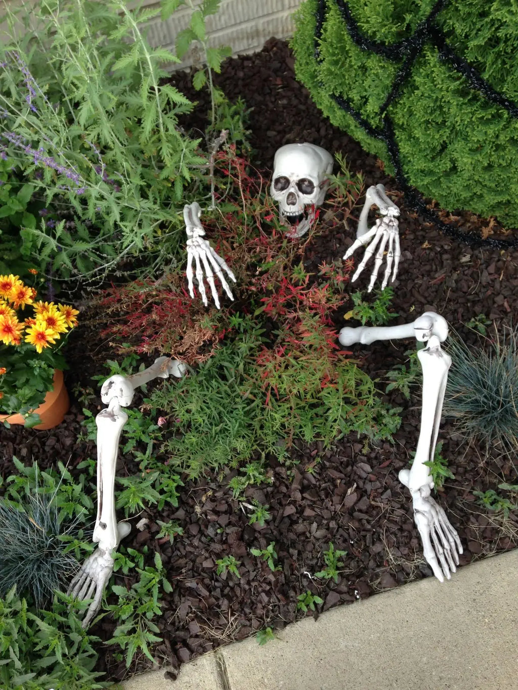 Spooky Halloween Decor Skeleton Stakes Realistic