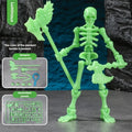Educational Three Dimensional Skull Model Assembly