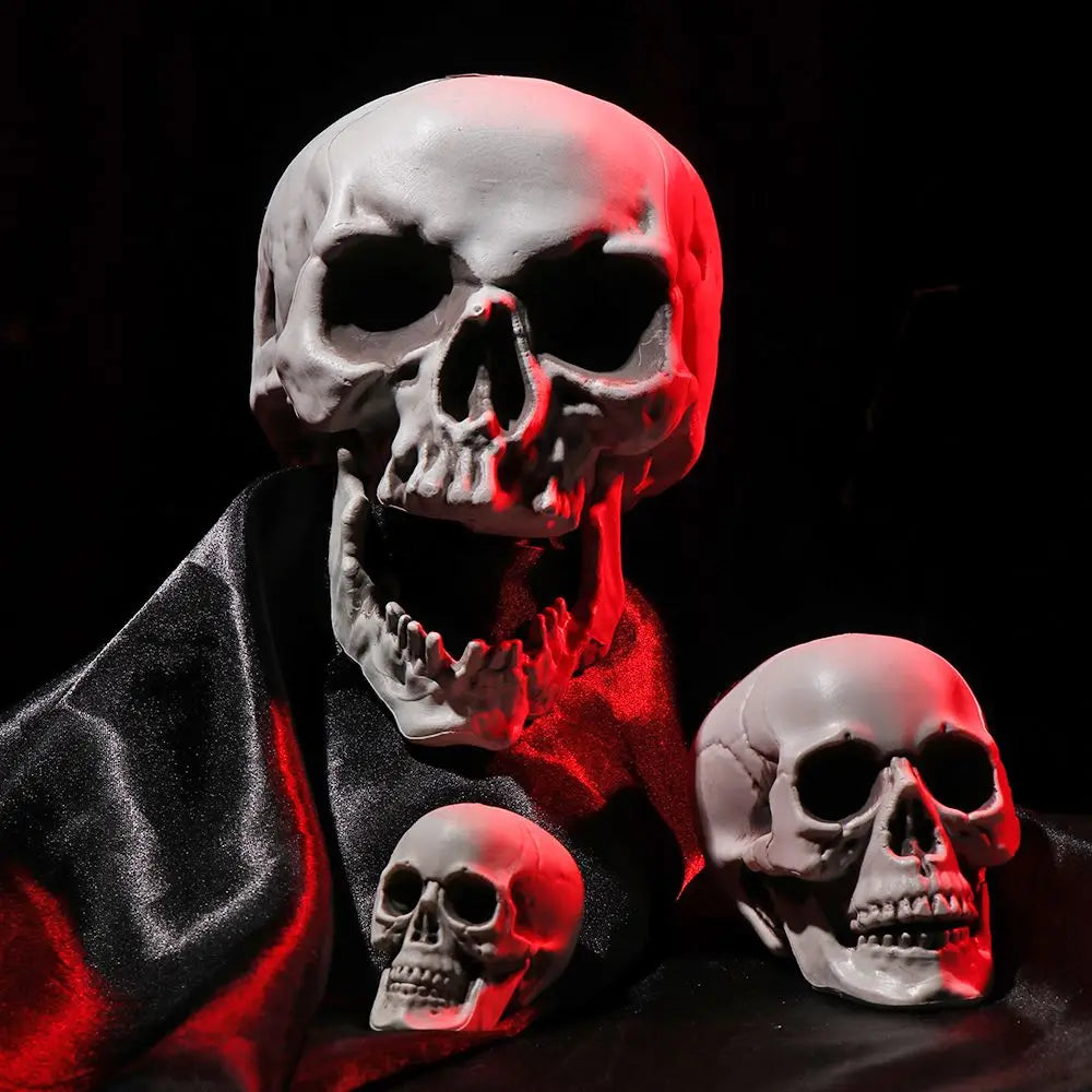 All Size Human Skull Head Skeleton Halloween Style Photo Prop Home Party Decor