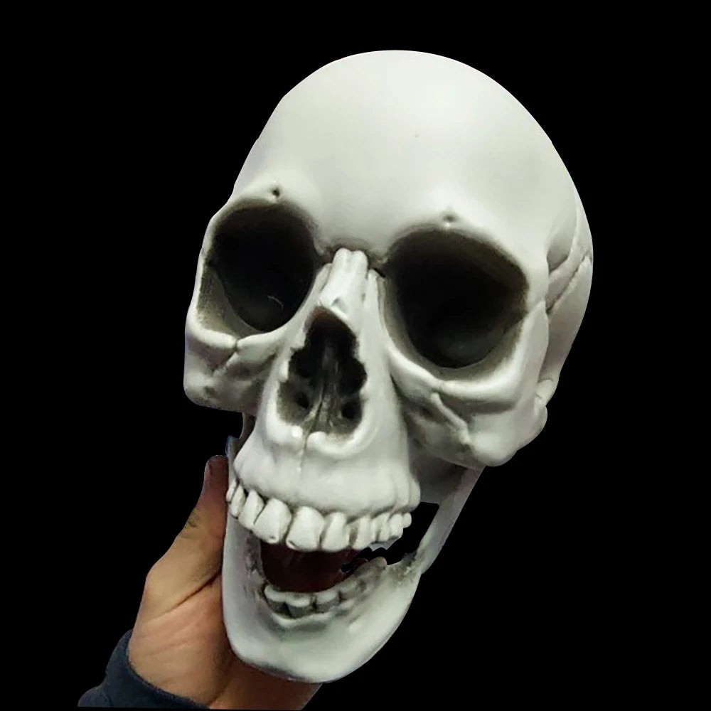 Festive Halloween Skull Decoration Realistic