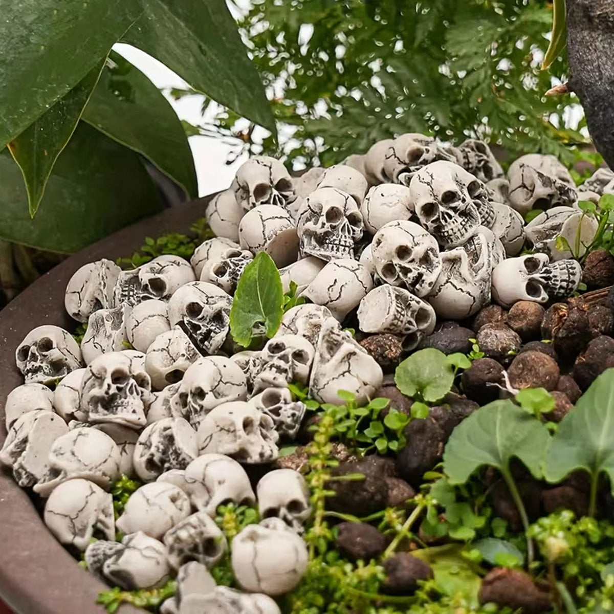 20 PCS Unique Halloween Skull Decoration Flower Pots Mini Skull Decorations