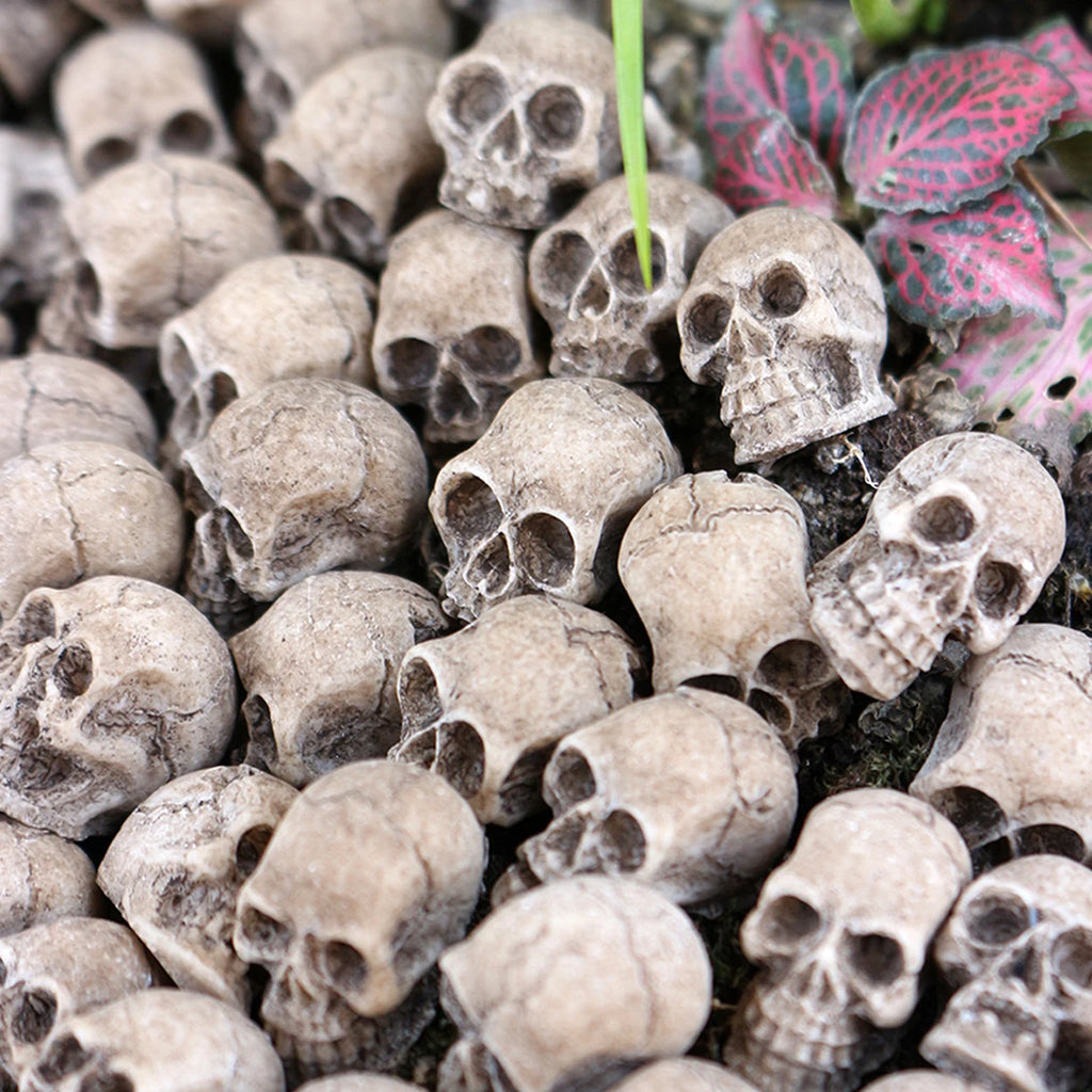 20 PCS Creative Miniature Skull Cool Miniature Skull Garden Bonsai Resin