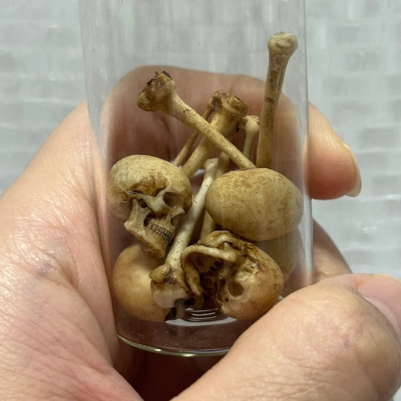 High-quality Mini Skull Model Halloween Home Decoration Dollhouse Plant Fish Tank
