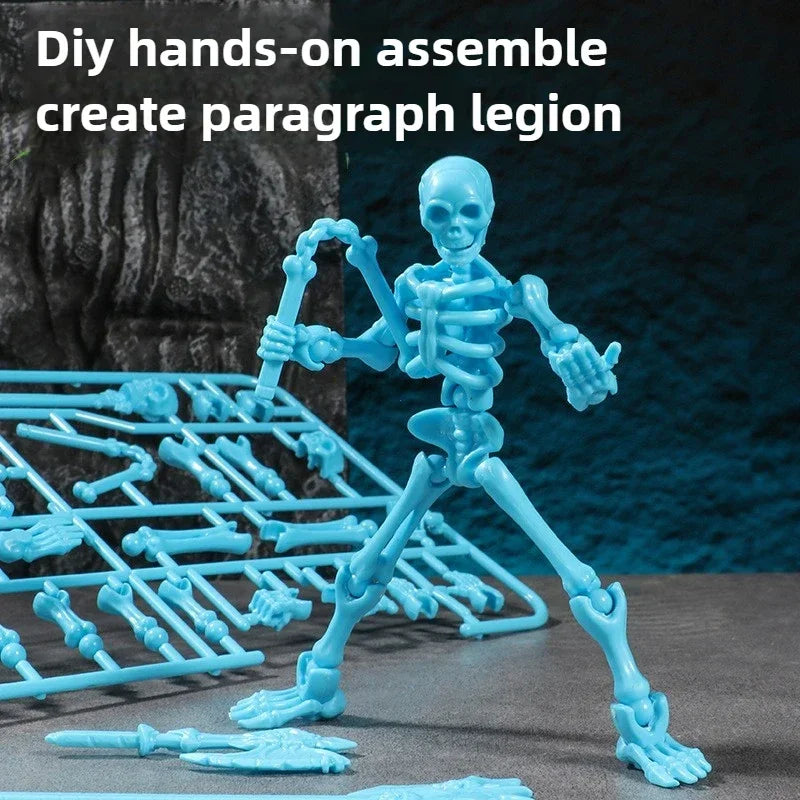 Educational Three Dimensional Skull Model Assembly