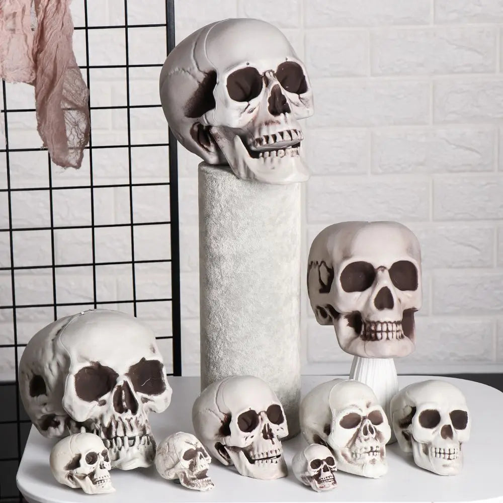 All Size Human Skull Head Skeleton Halloween Style Photo Prop Home Party Decor