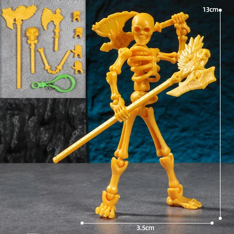 Educational Three Dimensional Skull Model Assembly