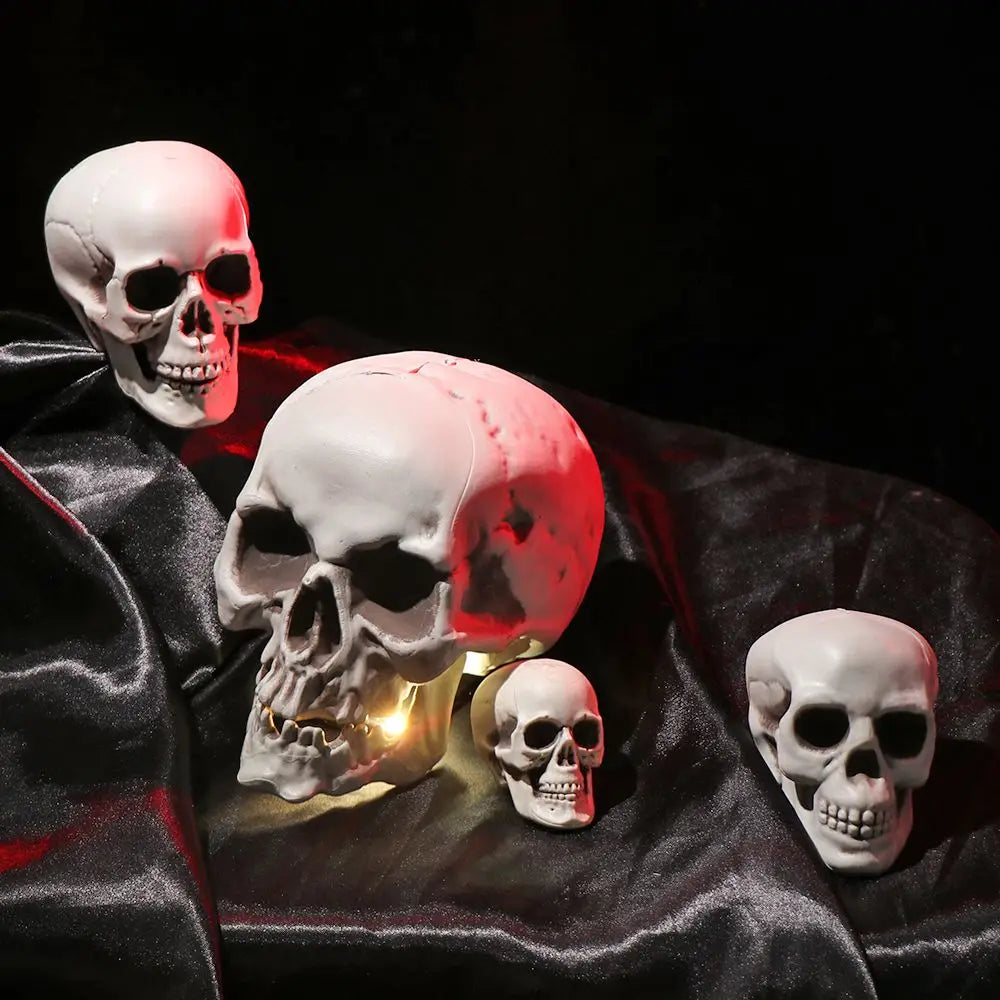 All Size Human Skull Head Skeleton Halloween Style Photo Prop Home Party Decor