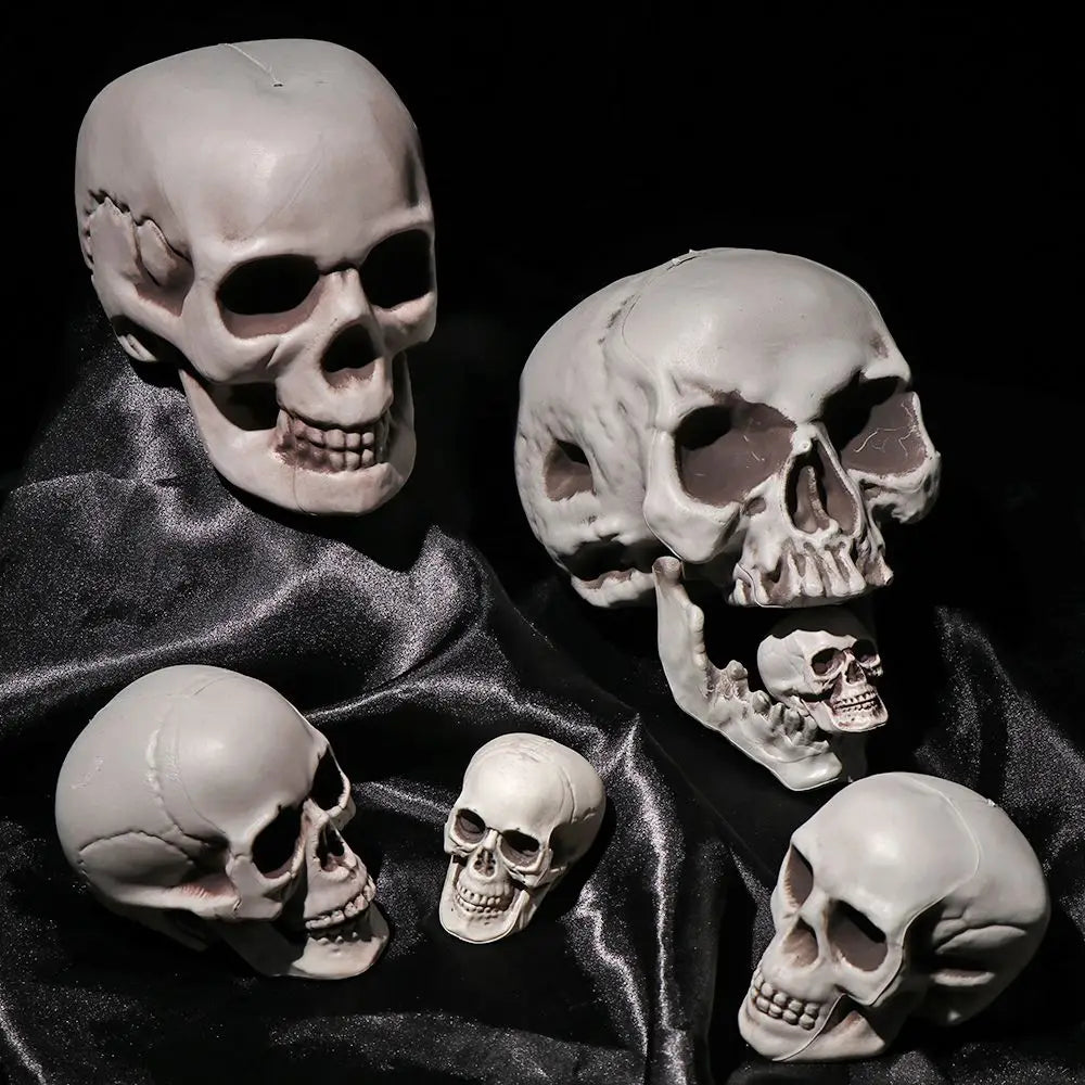 All Size Human Skull Head Skeleton Halloween Style Photo Prop Home Party Decor