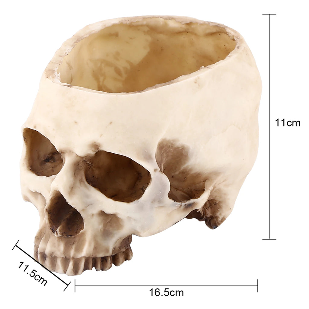 Resin Skull Head Design Flower Pot Planter Container Decoration Skull Pot