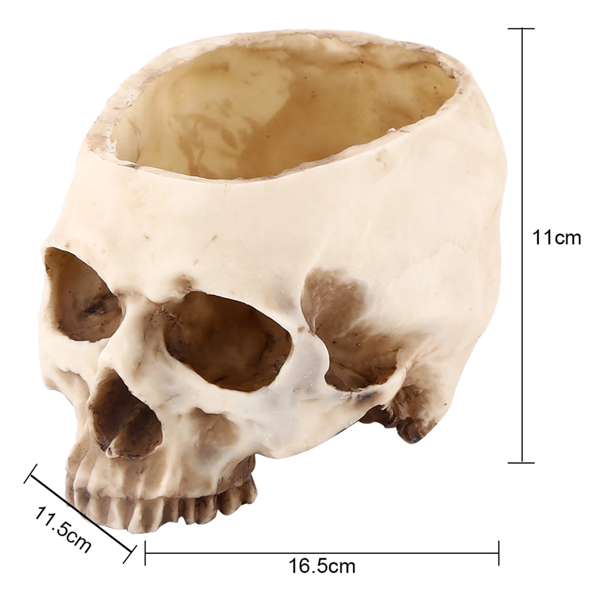 Resin Skull Head Design Flower Pot Planter Container Decoration Skull Pot