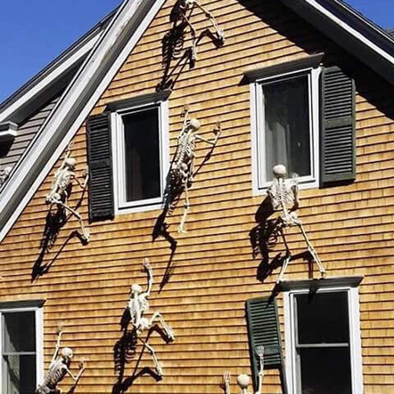Movable Halloween Skeleton Fake Skull Display