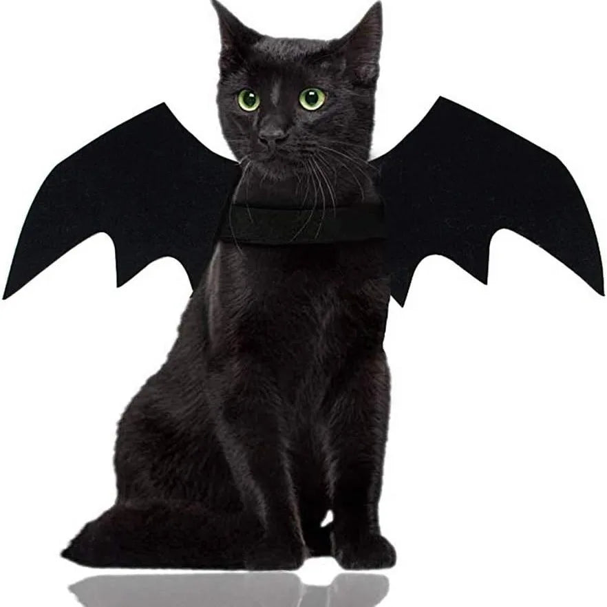 Wholesale Cute Cat Cosplay Costume Black Bat Wings