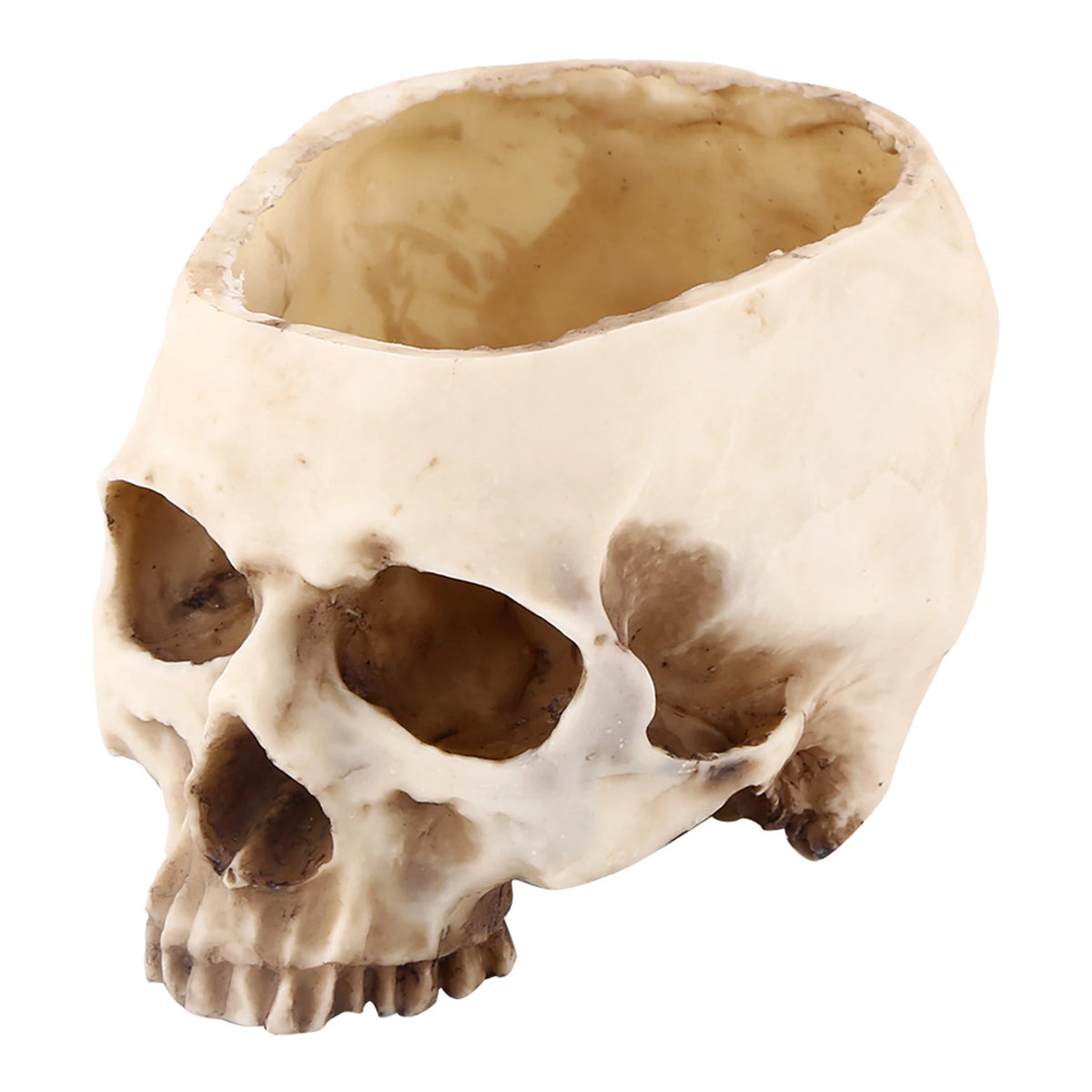 Resin Skull Head Design Flower Pot Planter Container Decoration Skull Pot