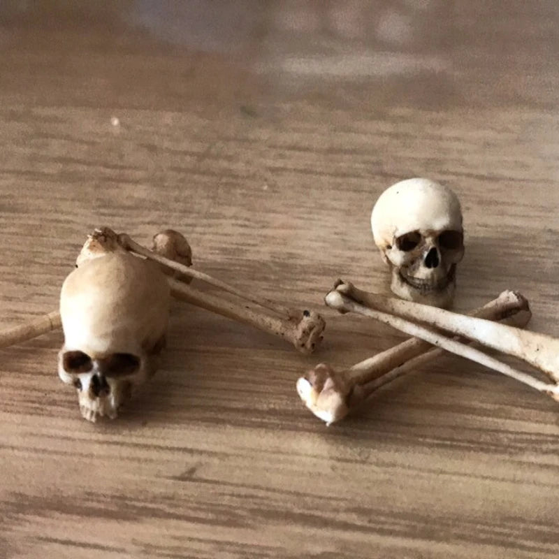 High-quality Mini Skull Model Halloween Home Decoration Dollhouse Plant Fish Tank