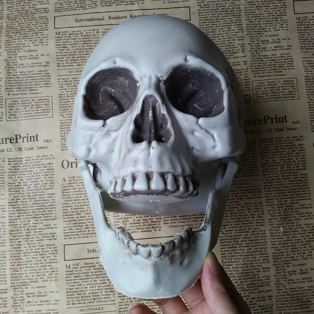 Festive Halloween Skull Decoration Realistic