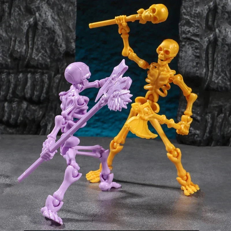 Educational Three Dimensional Skull Model Assembly