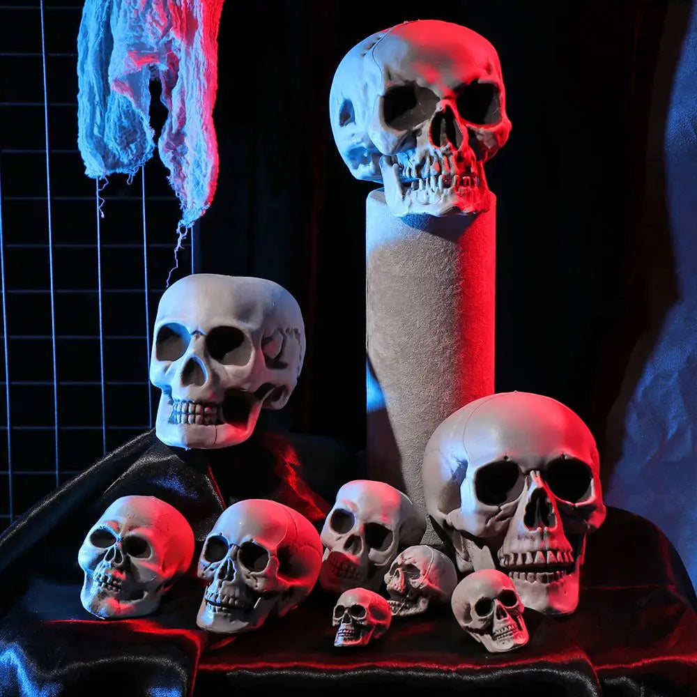 All Size Human Skull Head Skeleton Halloween Style Photo Prop Home Party Decor