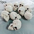 Realistic Skull Head Terrible Human Decoration