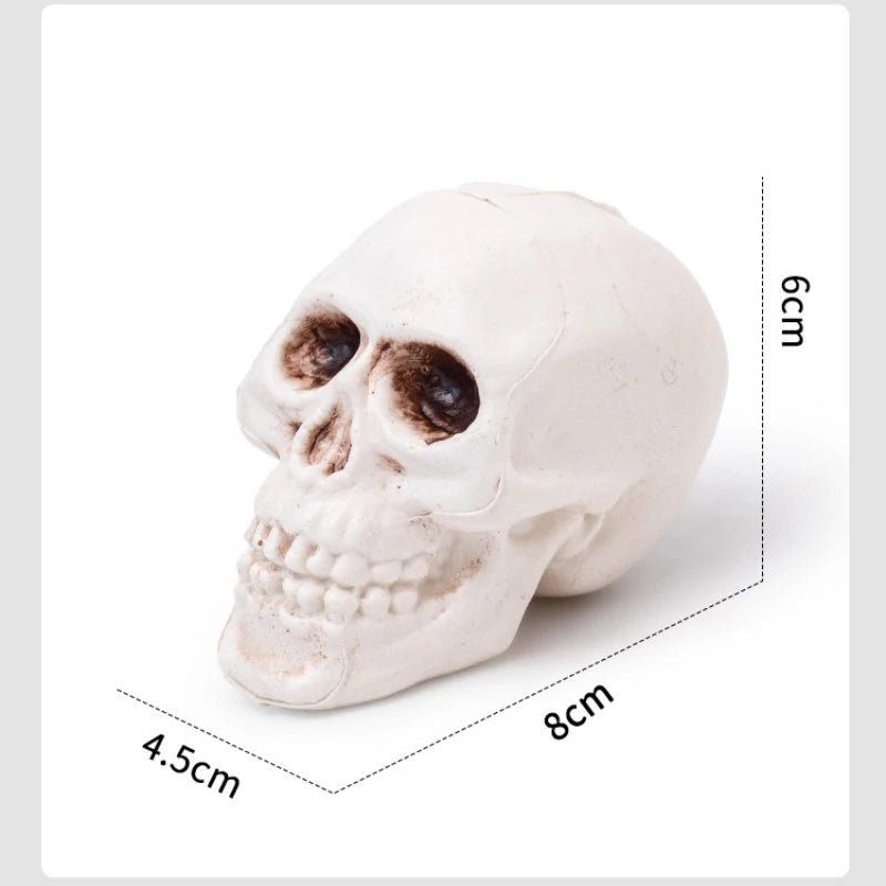 Realistic Skull Head Terrible Human Decoration