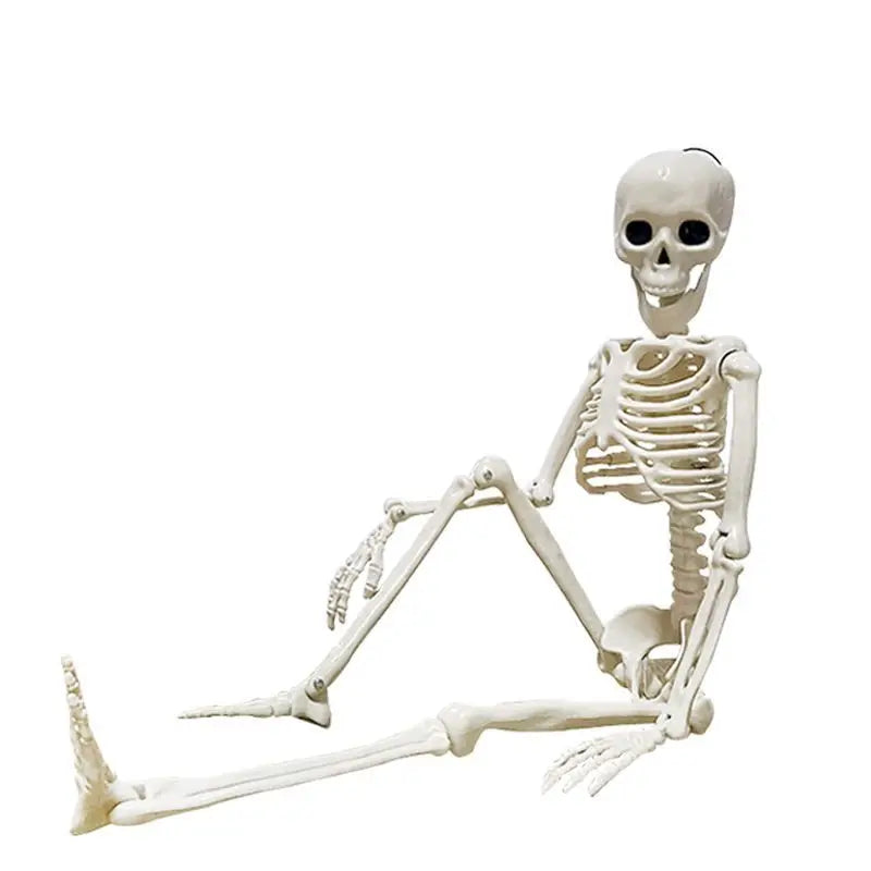 Movable Halloween Skeleton Fake Skull Display