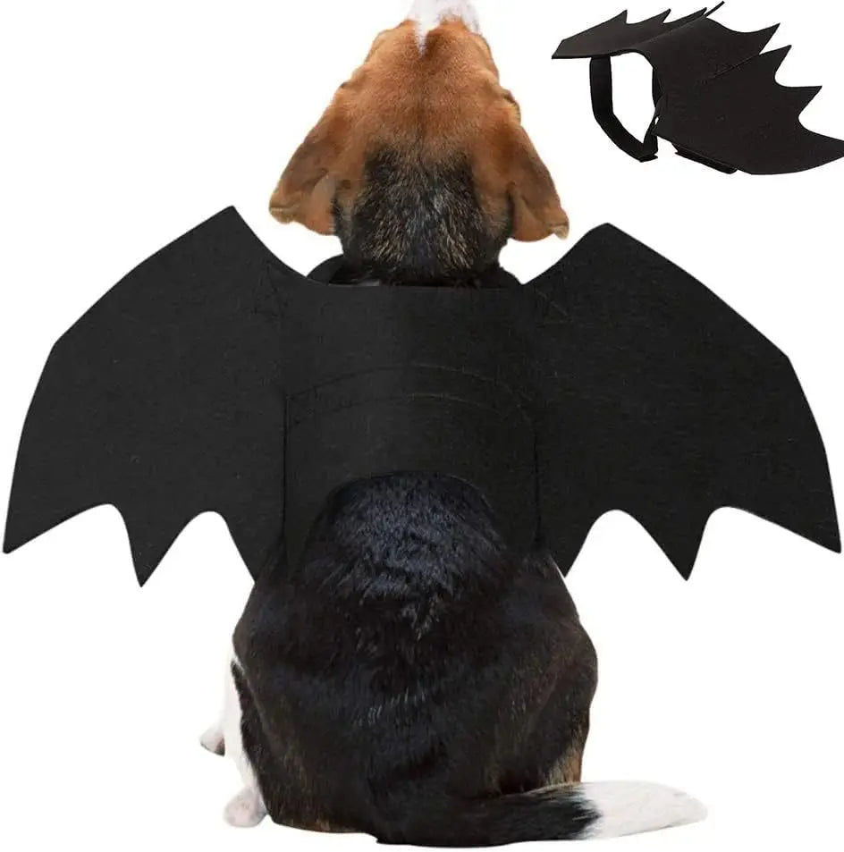 Wholesale Cute Cat Cosplay Costume Black Bat Wings