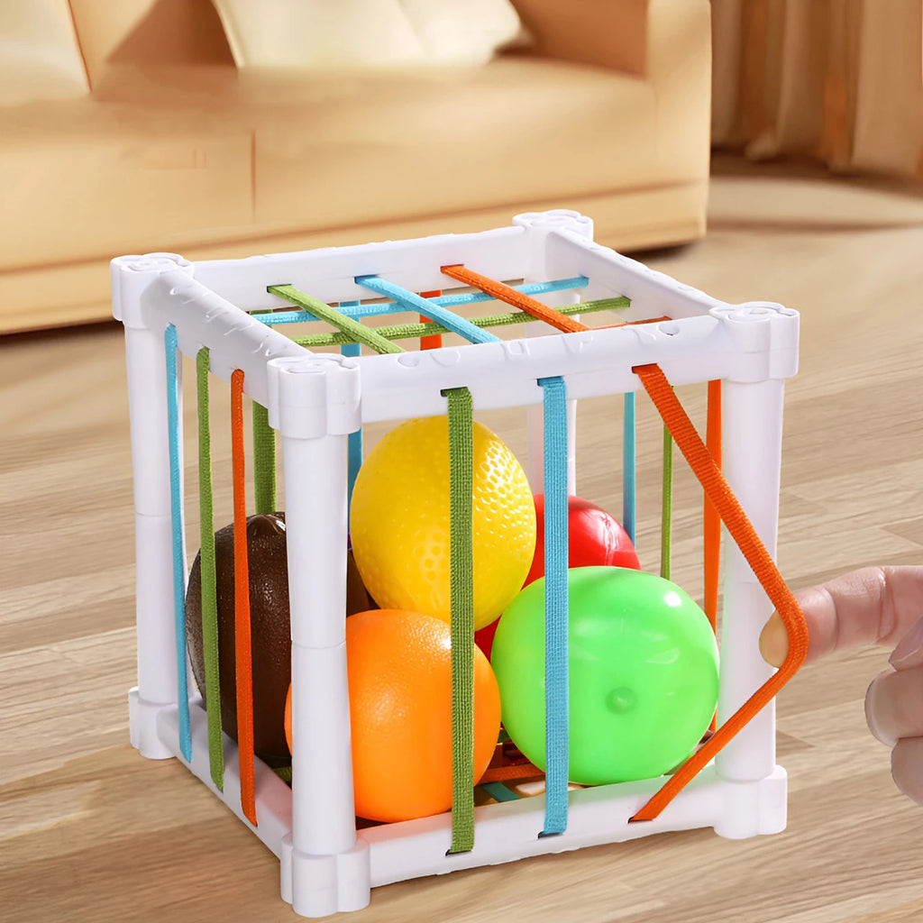 Fruit Cecele Shape Color Recognition Interactive Game