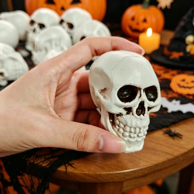 Realistic Skull Head Terrible Human Decoration