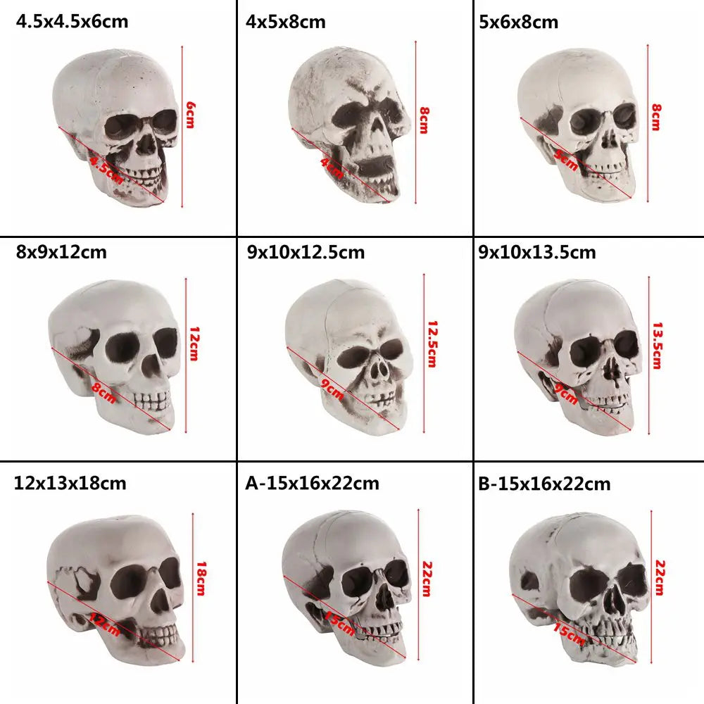 All Size Human Skull Head Skeleton Halloween Style Photo Prop Home Party Decor