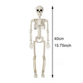 Halloween Decorations Skeleton Posable Statue