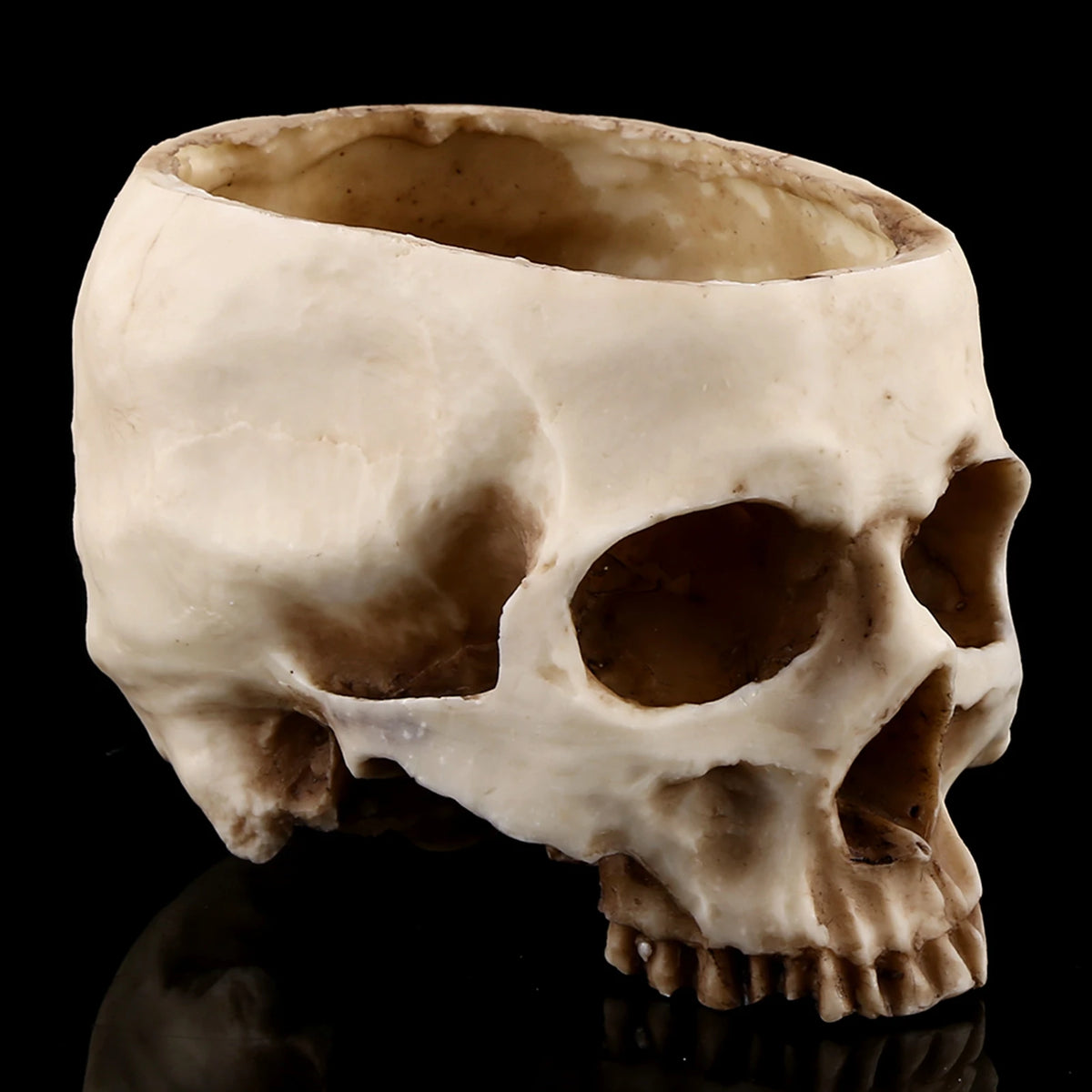 Resin Skull Head Design Flower Pot Planter Container Decoration Skull Pot