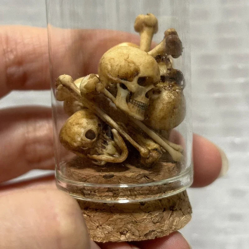High-quality Mini Skull Model Halloween Home Decoration Dollhouse Plant Fish Tank