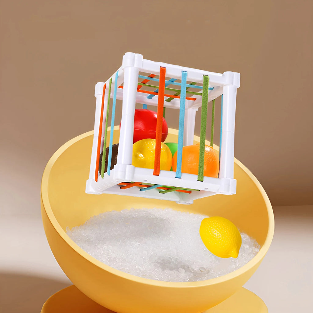 Fruit Cecele Shape Color Recognition Interactive Game